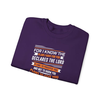 For I Know the Plans I Nave for You Declares the Lord Plans to Prosper You and Not to Harm You Plans to Give You Hope and a Future Sweatshirt