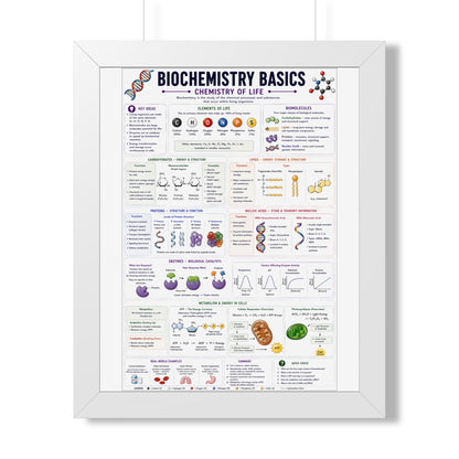 Biochemistry Basics Framed Poster — Chemistry of Life Study Guide