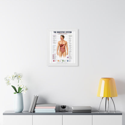 Framed Digestive System Poster — Anatomical Chart for Home, Classroom & Medical Offices