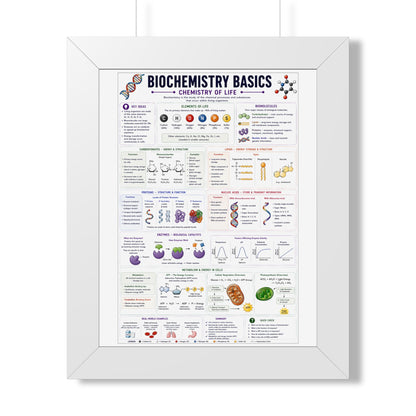Biochemistry Basics Framed Poster — Chemistry of Life Study Guide