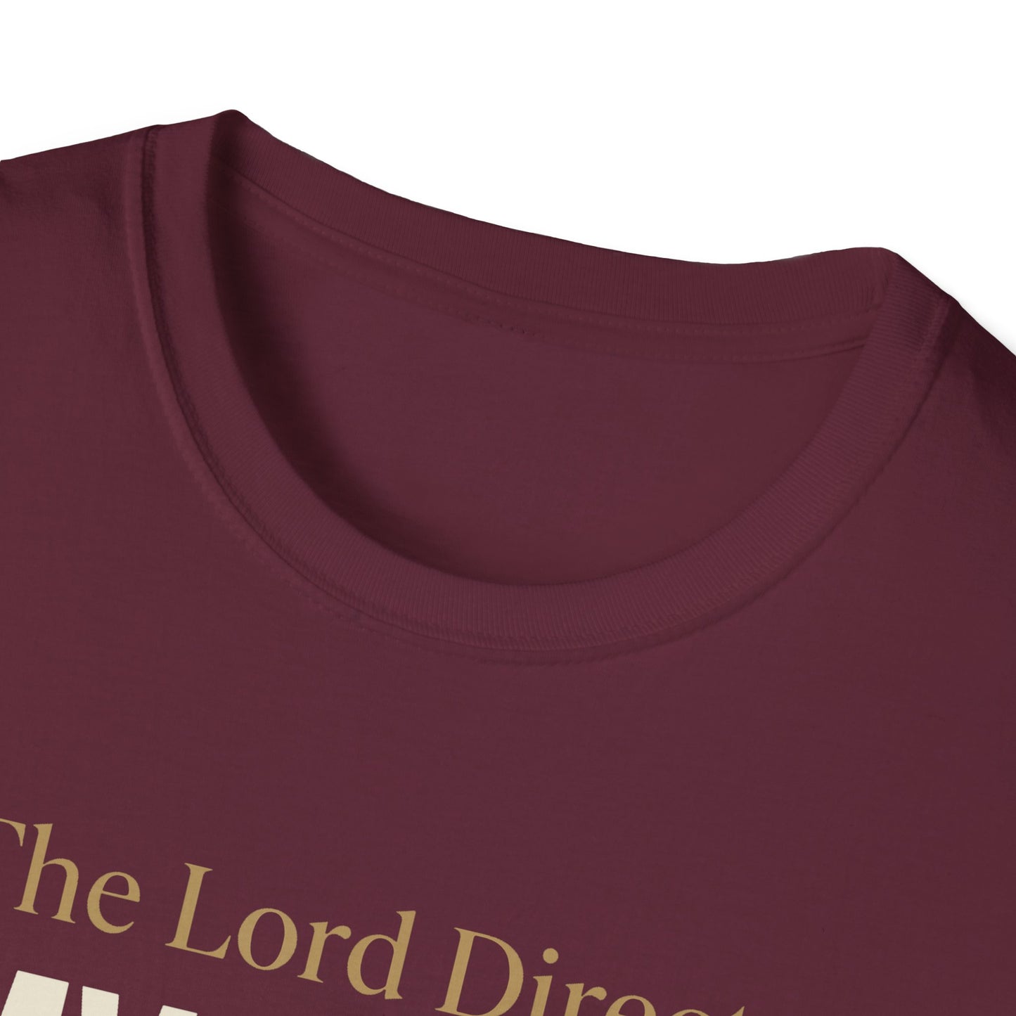 The Lord Directs My Steps -Proverbs 16:9 T-Shirt