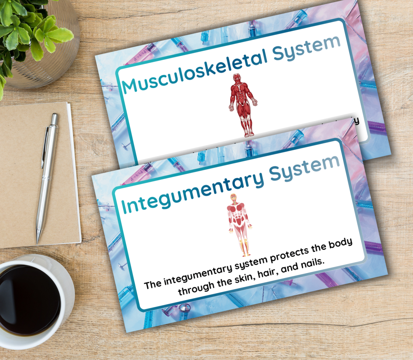Nursing Flashcards Bundle | Printable NCLEX Study Cards PDF for Nursing Students