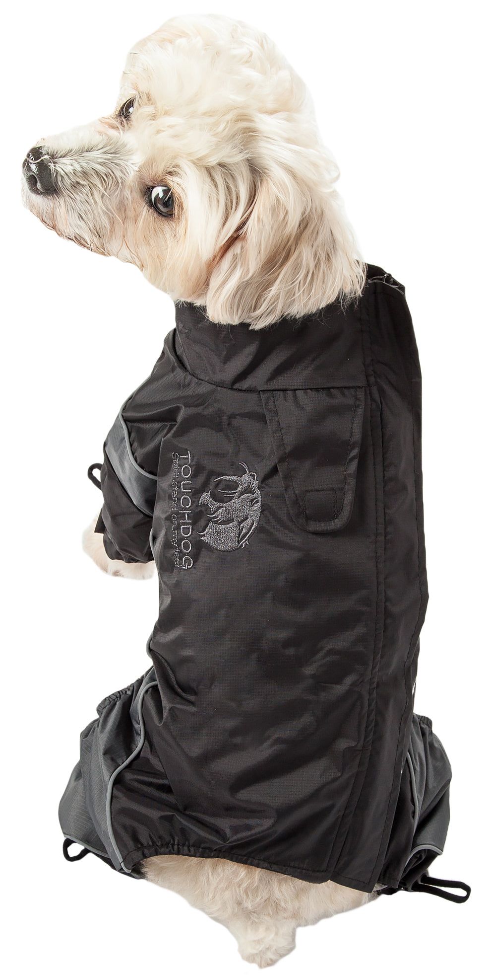 537569651