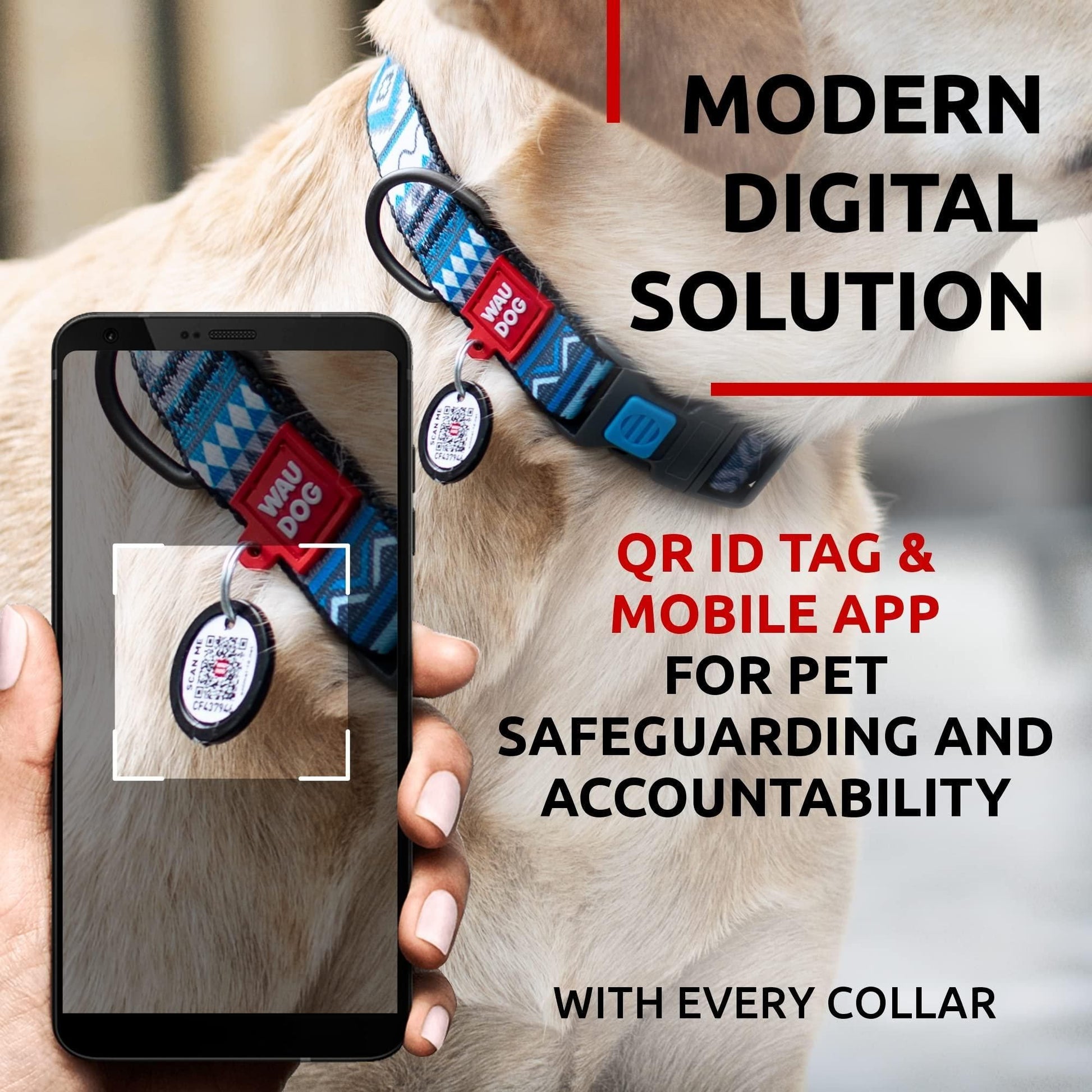 537545231
