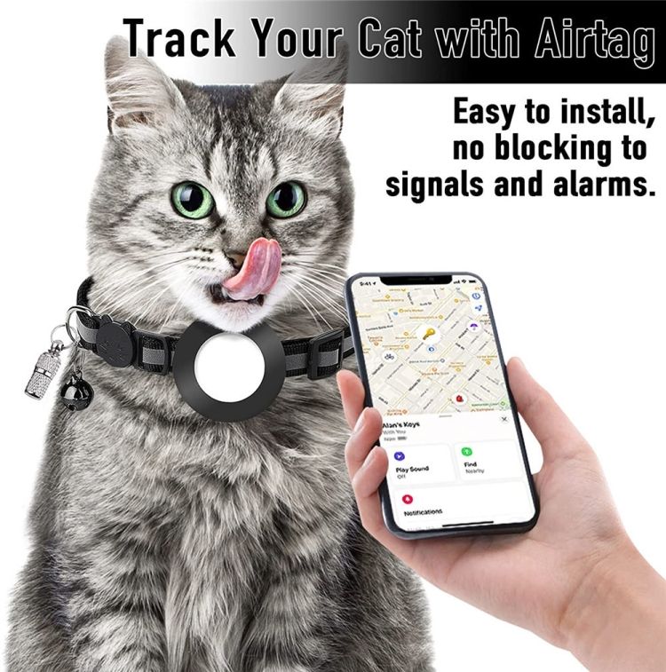537540691
