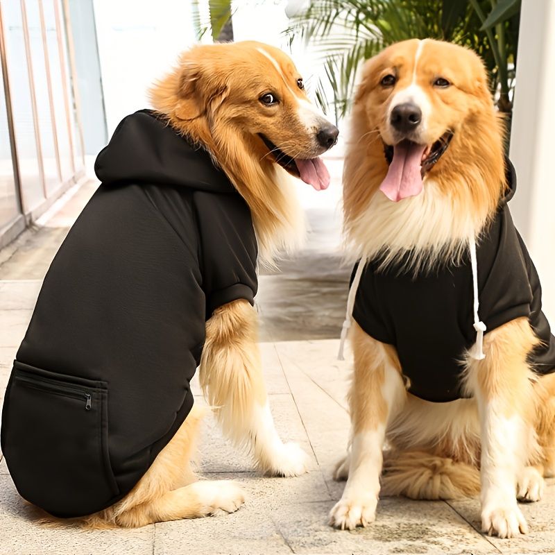 537427421